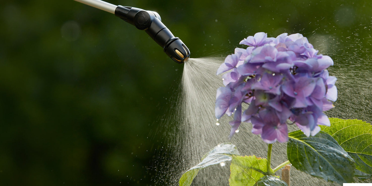 Gartenbewässerung rechtzeitig vorbereiten: So spart ihr Zeit und Wasser