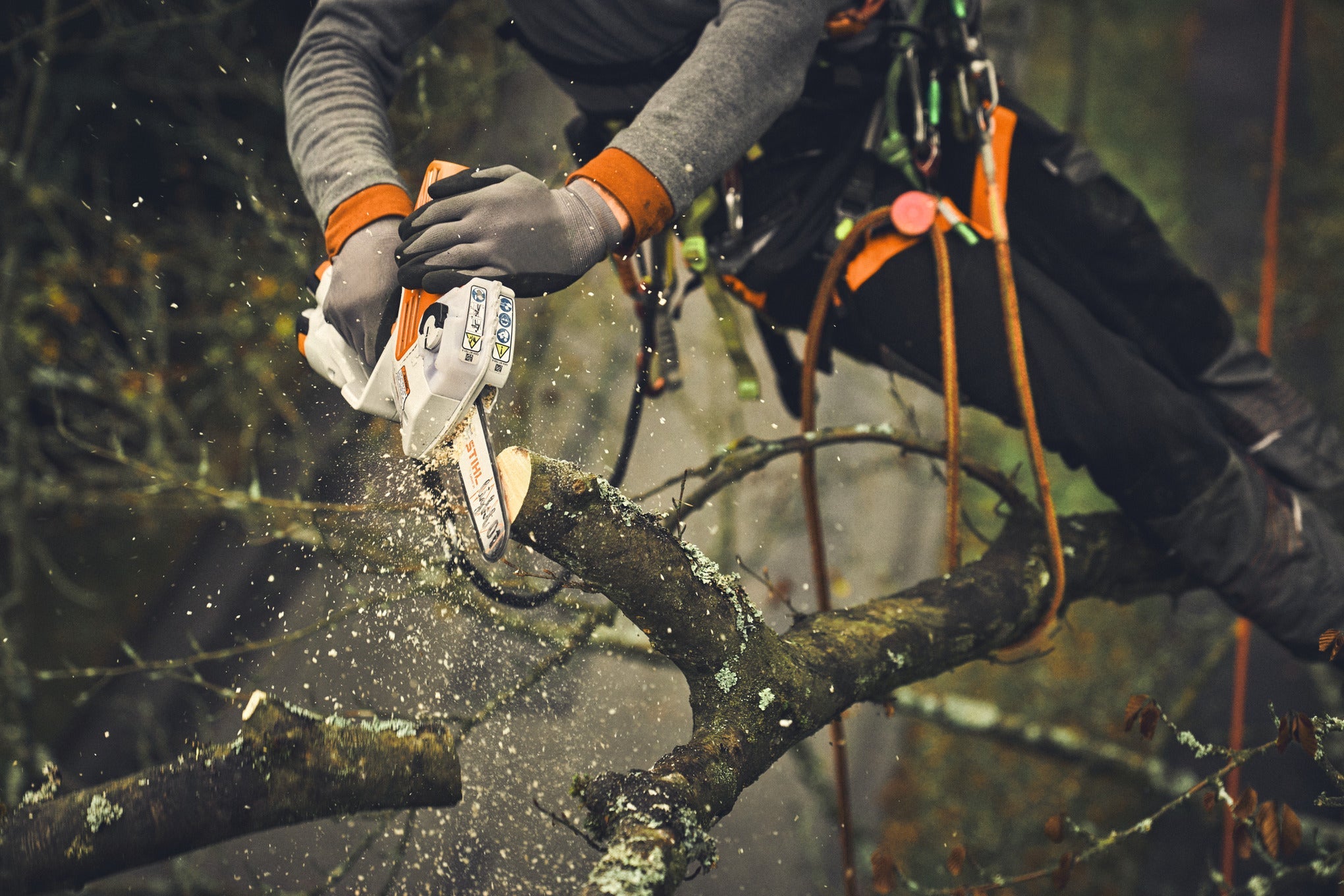 STIHL 1/4", Schiene Light 01, 15cm/6" 1,1mm/0.043"