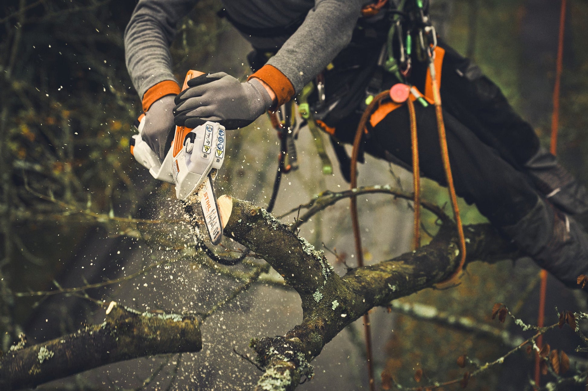 STIHL 1/4", Schiene L01 20cm/8“ 1,1mm/0.043"