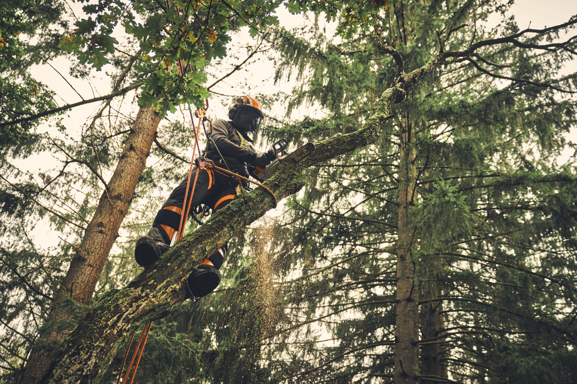 STIHL MSA 220 TC-O, PS3 Pro, Schienenlänge 30 cm