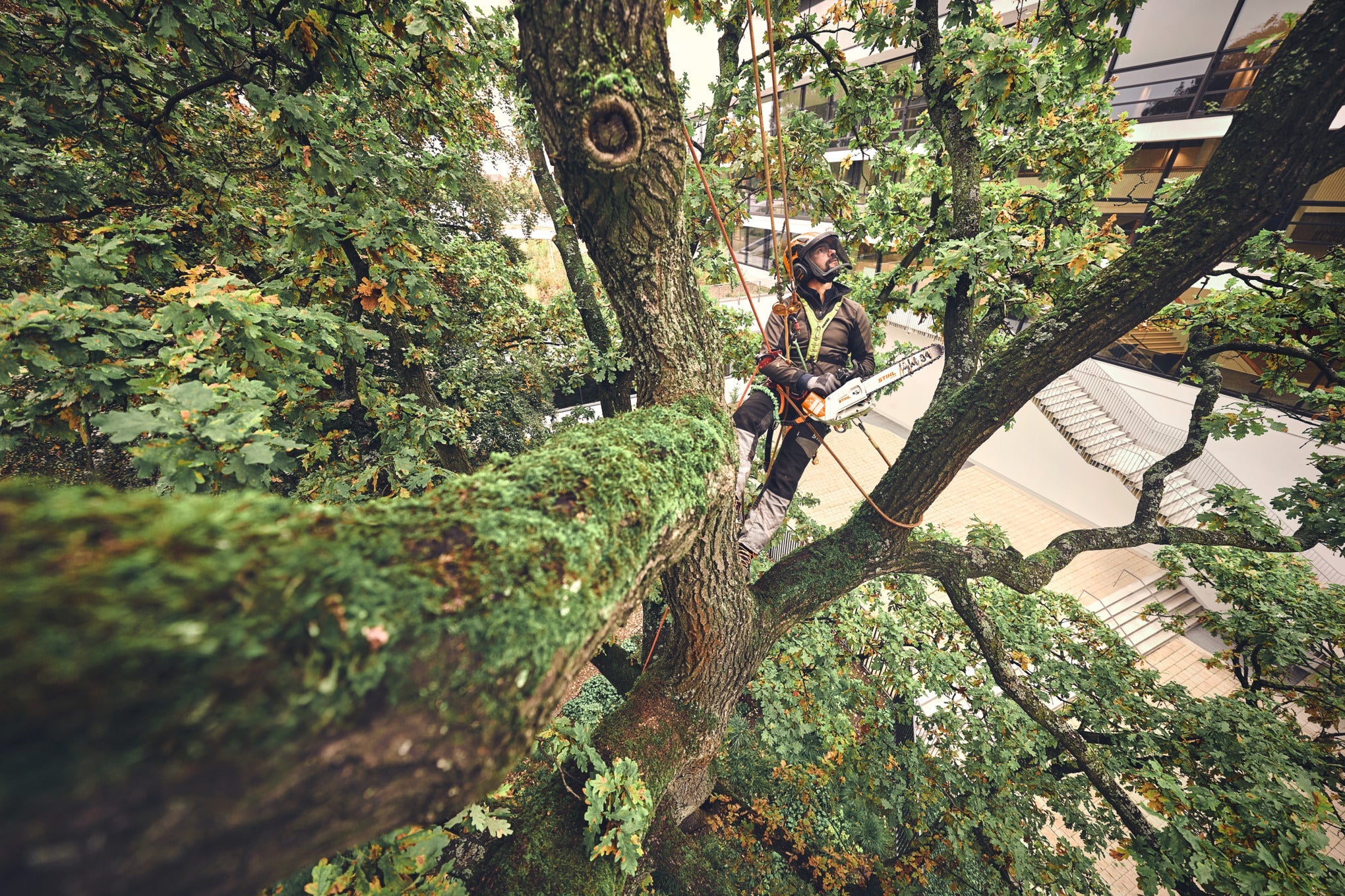 STIHL MSA 220 T, PS3 Pro, Schienenlänge 30 cm