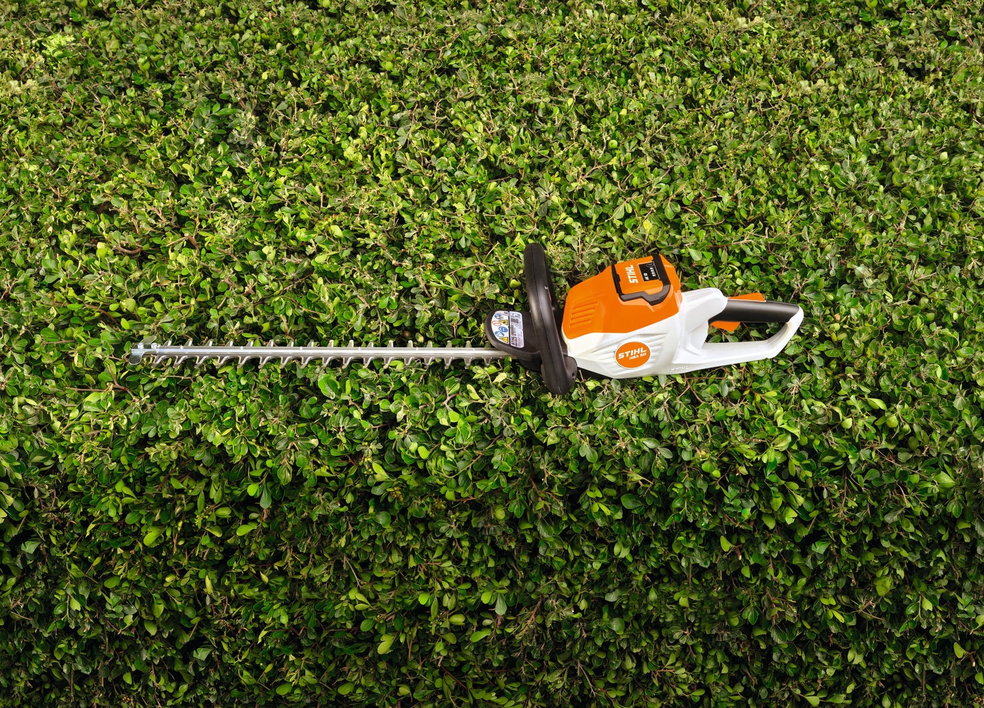 STIHL HSA 50, Schnittlänge 50 cm