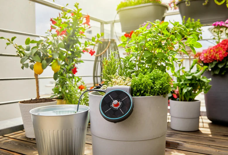 Solar-Bewässerung AquaBloom Set