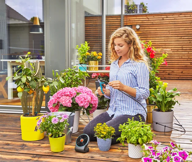 Solar-Bewässerung AquaBloom Set