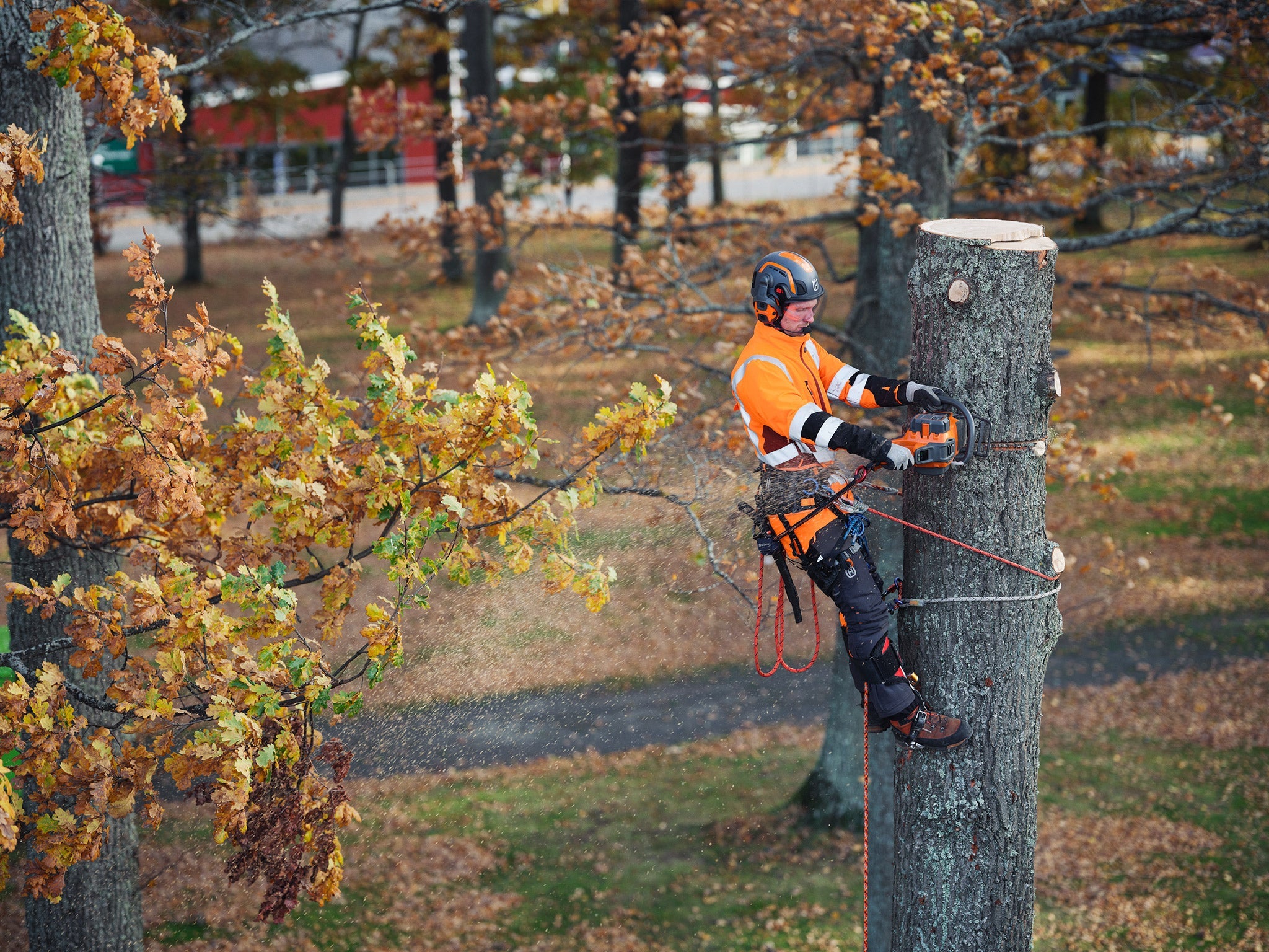 Husqvarna 550i XP®