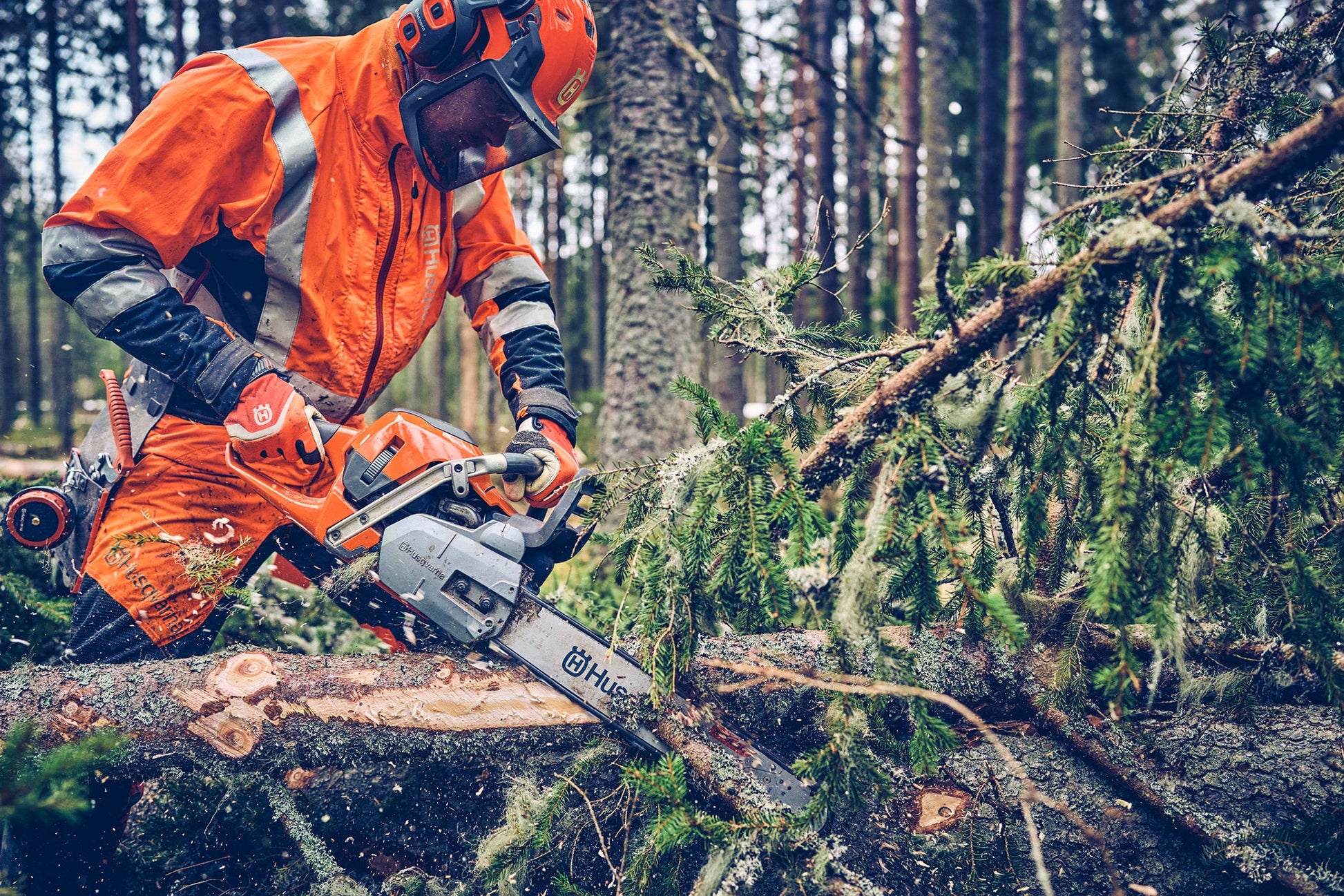 Husqvarna 560 XP® Mark II
