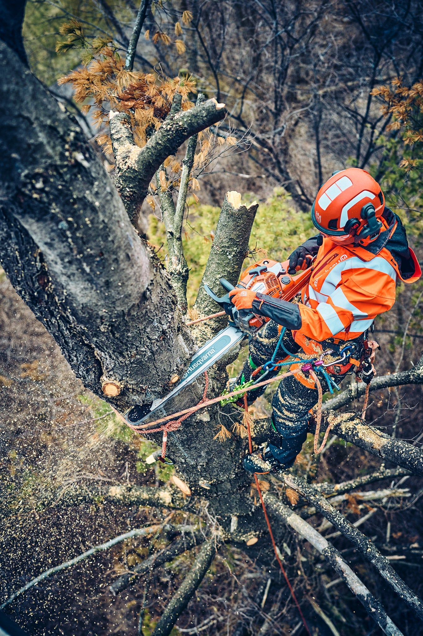 Husqvarna 560 XP® Mark II