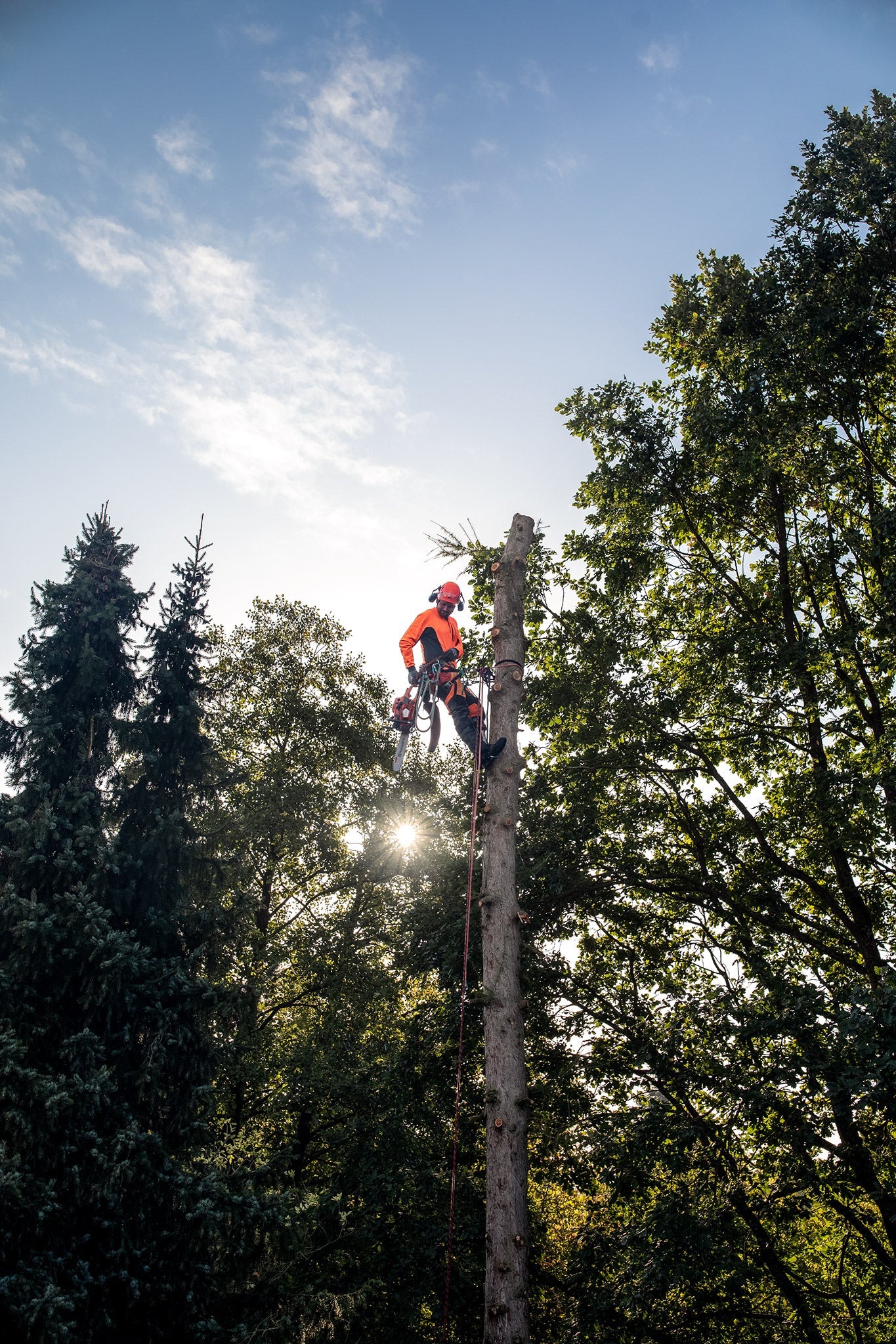 Husqvarna Arboristen Fällkeil 10 cm