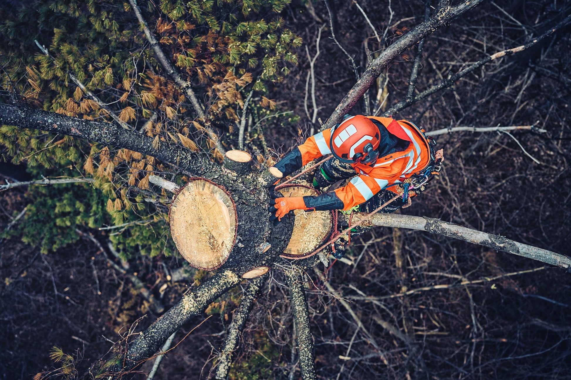 Husqvarna Arboristen Fällkeil 10 cm