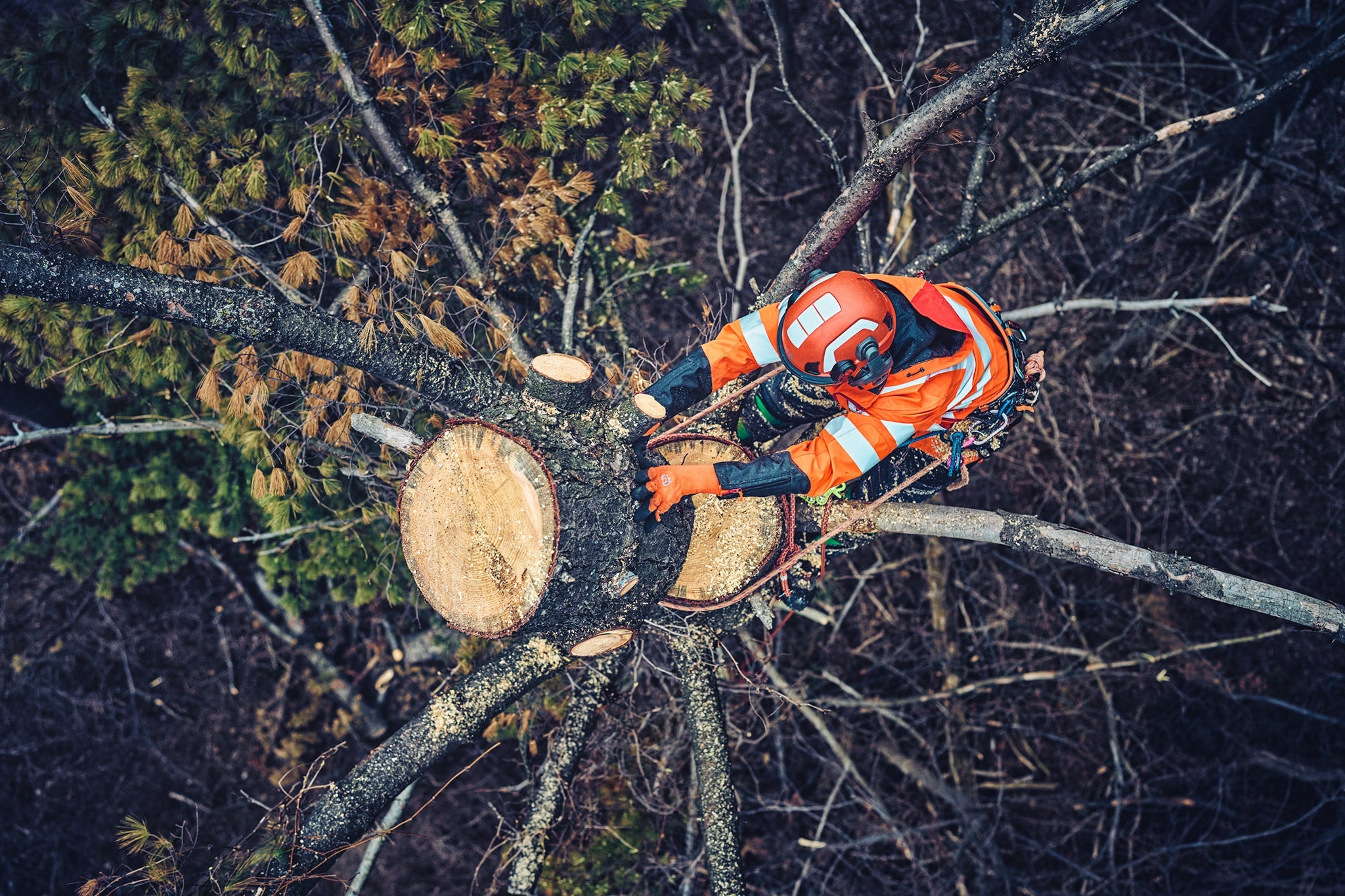 Husqvarna Arboristen Fällkeil 10 cm
