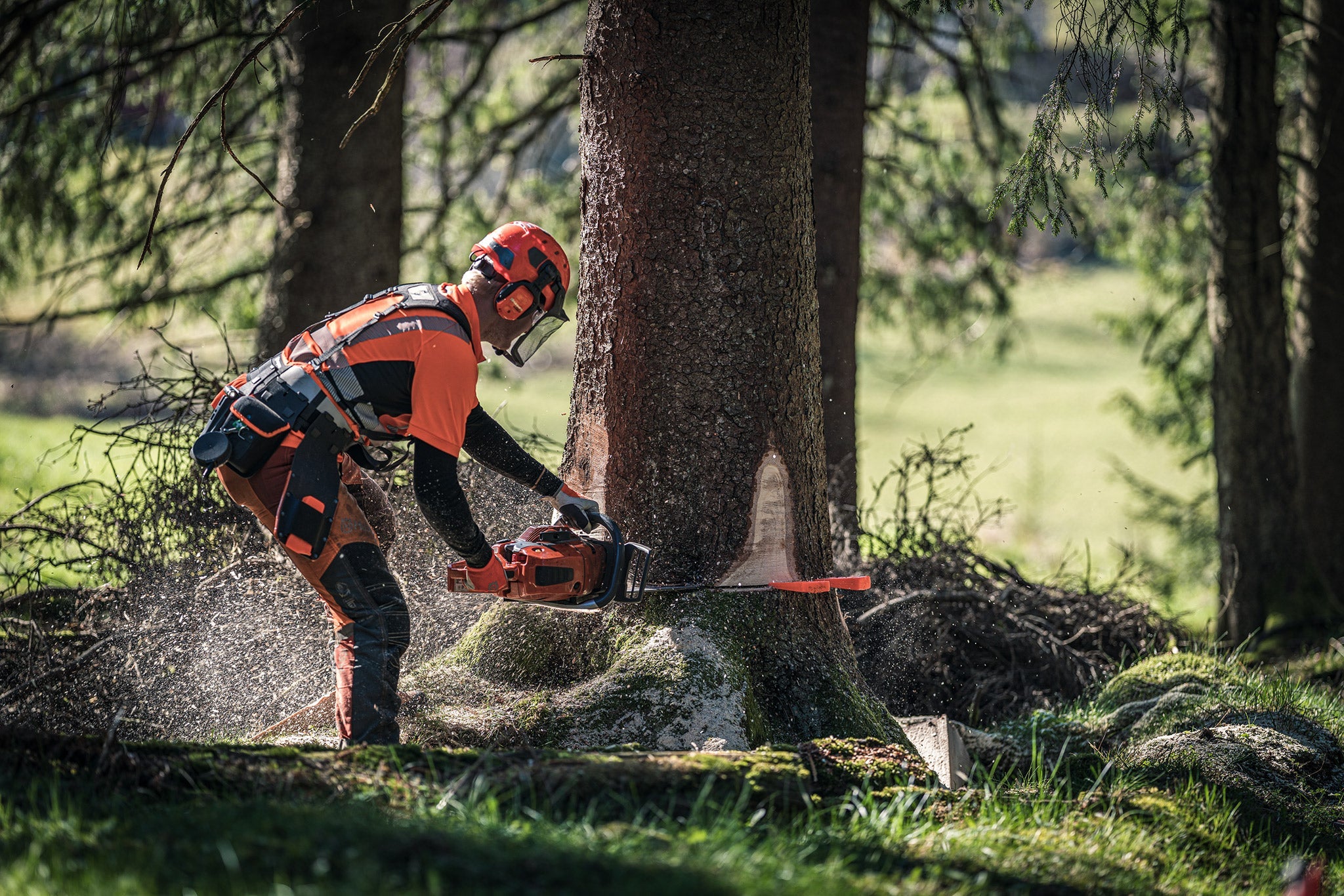 Husqvarna Fällkeil Pro 25 cm