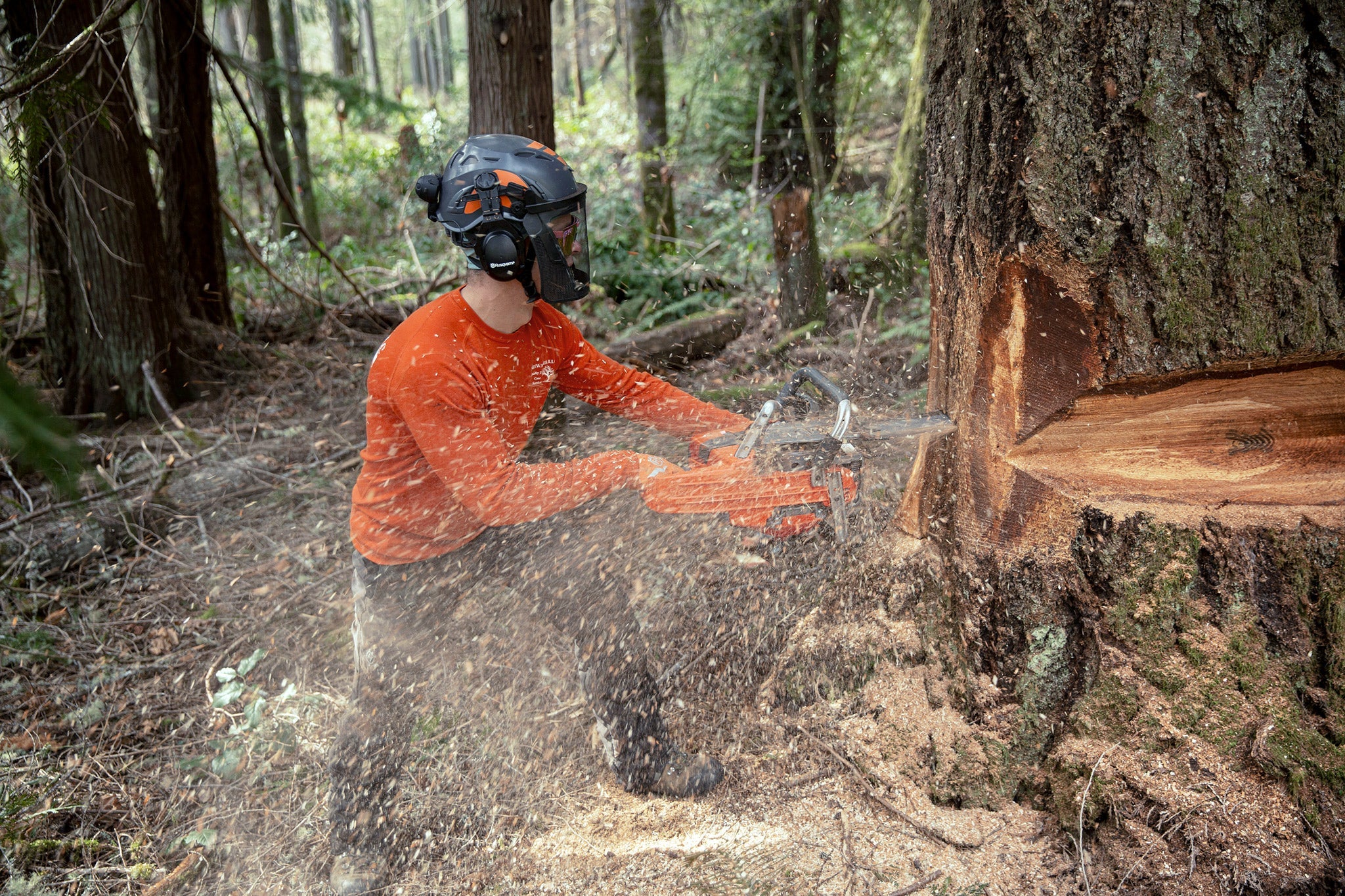 Husqvarna Sägekette X-CUT S85 Halbmeißel 3/8” 1.5mm